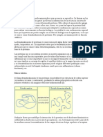 Informe Desnaturalización de La Proteinas.