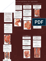 Mapa Mental de Vascularización de Abdomen