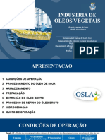 OSLA - óleo de soja (fluxograma + analise de custos) 