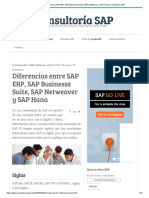 Diferencias Entre SAP ERP, SAP Businesss Suite, SAP Netweaver y SAP Hana - Consultoría SAP