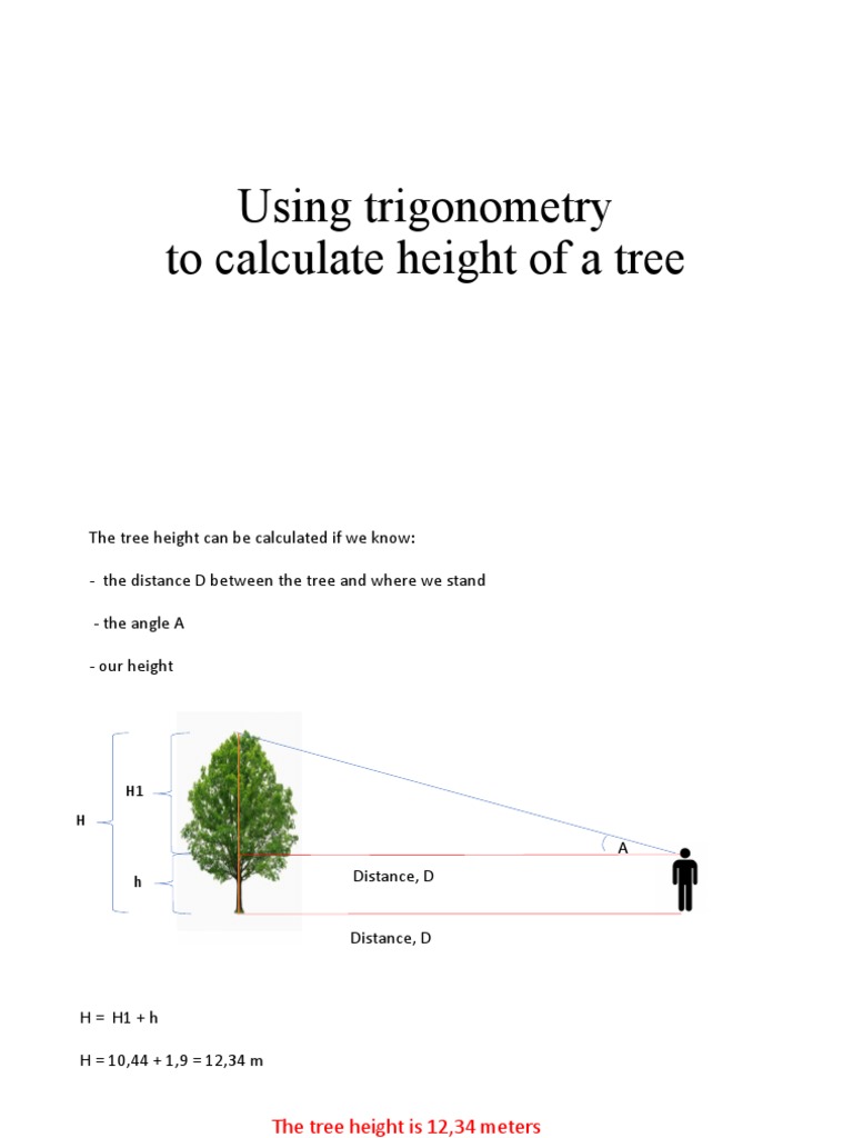 Using Trigonometry To Calculate Height of A Tree | PDF