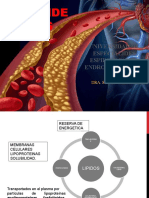 Dislipidemia Satya Soria