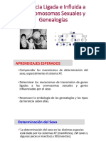 09_Herencia-Ligada-a-Cromosomas-Sexuales-y-Geneaologías