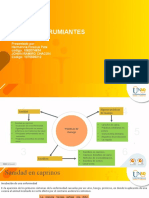 Trabajo Colaborativo Paso 4 P.R