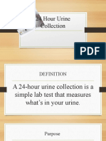 24 Hour Urine Collection