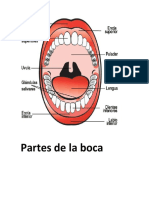 Partes de La Boca