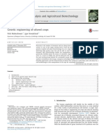 Genetic Engineering of Oilseed Crops for Biofuels and Health