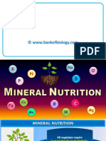 12 Mineral Nutrition Botany