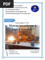 Tp 6 Mas a Cage Ecureuil