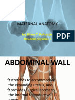 Maternal Anatomy Report