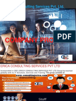 Erica Consulting Services Pvt. LTD.: Company Profile