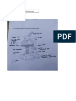 Activity 2 Compound Final For PDF