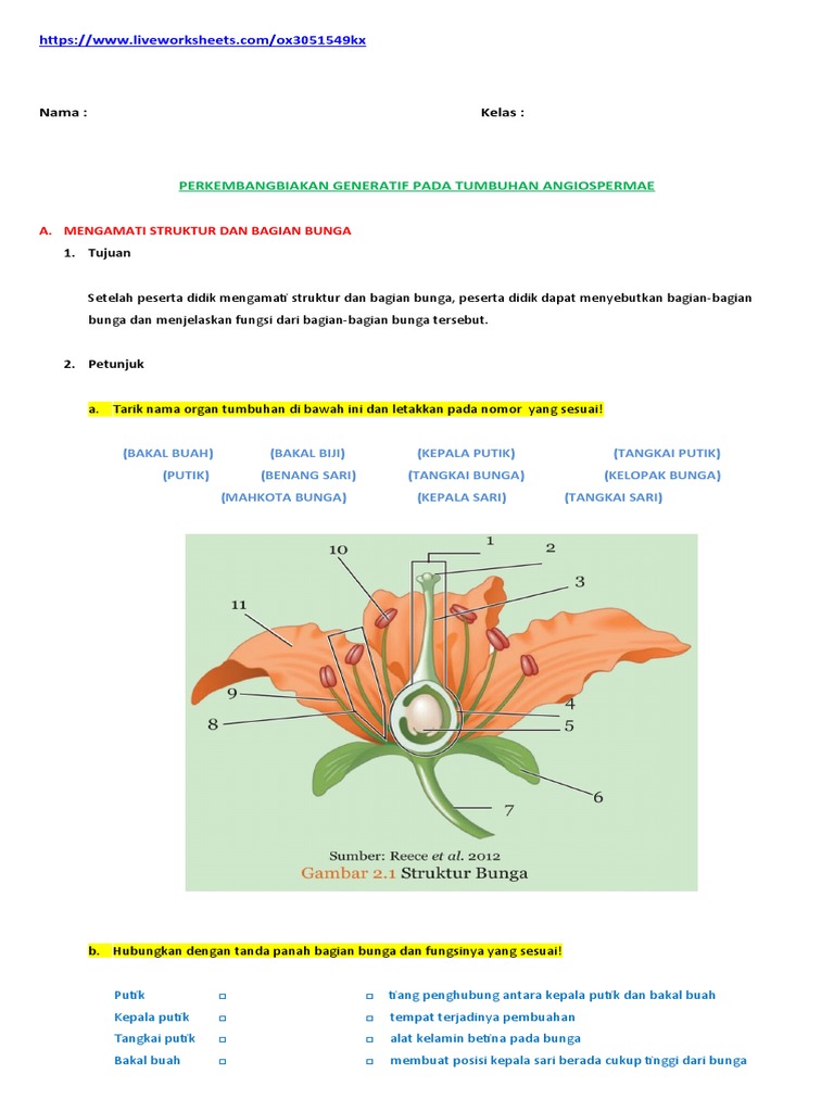 Struktur dan Fungsi Bagian Bunga | PDF | Sains & Matematika