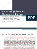 Cultura Organizacional