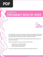 Pregnancy Week by Week