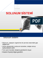 6. Solunum Sistemi (1)