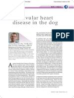 Valvular Heart Disease in The Dog