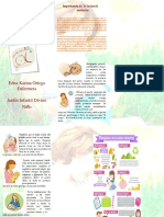 Folleto Importancia de La Lactancia Materna