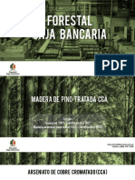 Productos_CCA Forestal Caja Bancaria