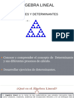 DETERMINANTES
