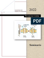 Informe Seminario S9 Biología Celular y Molecular