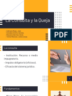 Consulta, queja y recursos procesales en el Código Civil peruano