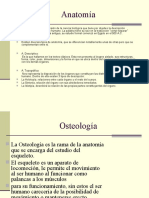 Anatomía humana: estructura y enfermedades del esqueleto