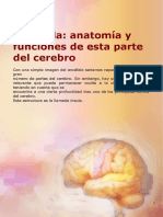 Corazón y Cerebro