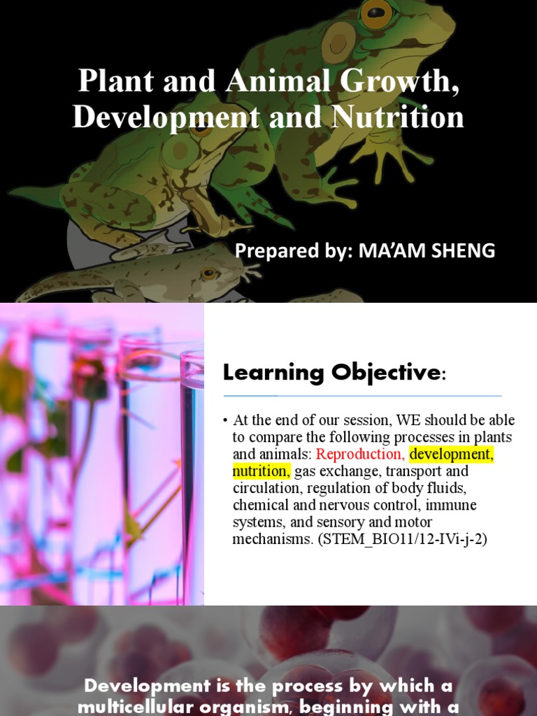 Plant and Animal Growth Comparison | PDF | Embryo | Plants