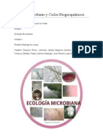 Habitad Microbiano y Ciclos Biogeoquímicos