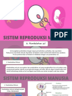 Sistem Reproduksi