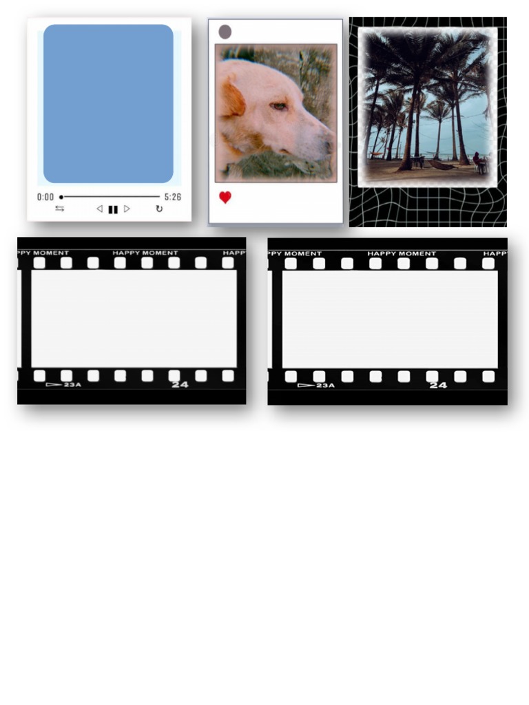 Polaroid | PDF