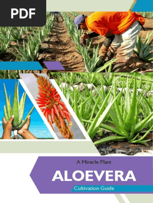 aloe vera personal lubricant ONE® True® Natural Water-Based Personal Lubricant
