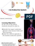 The Endocrine System: Prepared By: Carmela Mae Borja