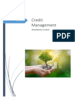 Credit Management - Project