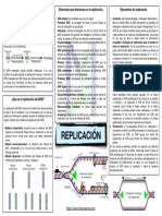 Replicacion Del ADN. 1