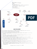 Endocrine System