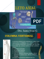 Esqueleto Axial Prsentacion