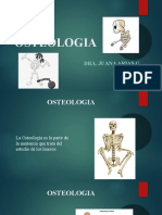 Osteologia Completo