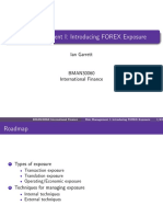 Risk Management I Intro FOREX Exposure