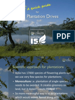Plantations Guidelines