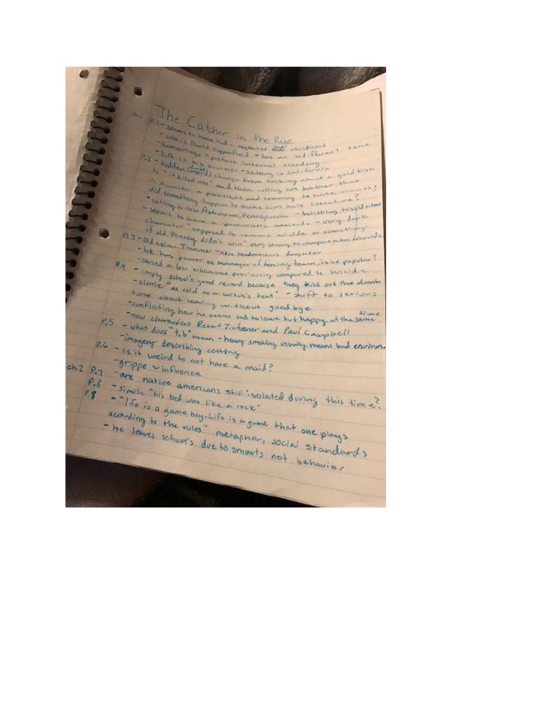 Catcher in The Rye Annotations PDF