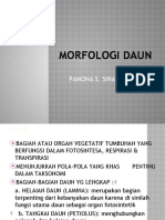 Morfologi Daun