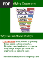 Animal Kingdom Classification - Chart - Biology@TutorVista | PDF ...