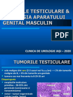 7. Tumorile Testiculare Patologia Org Genit Ext 2