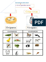 Ciencias COMO NACEN SERES VIVOS 2