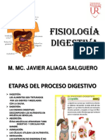 F. Tubo Digestivo