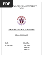 346345683-Cyber-Law-Project