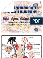 CT Proper-Types and Distribution