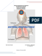 Trabajo Sistema Respiratorio